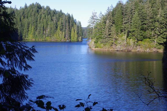 Serene blue lake surrounded by a dense evergreen forest, with tree branches silhouetted in the foreground.
