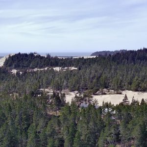 Aerial view of a vast evergreen forest leading to expansive sand dunes, with the ocean and a hazy sky in the distant background, and a road in the bottom left.