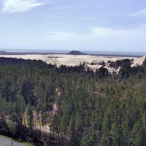 Aerial view of a vast evergreen forest leading to expansive sand dunes, with the ocean and a hazy sky in the distant background, and a road in the bottom left.